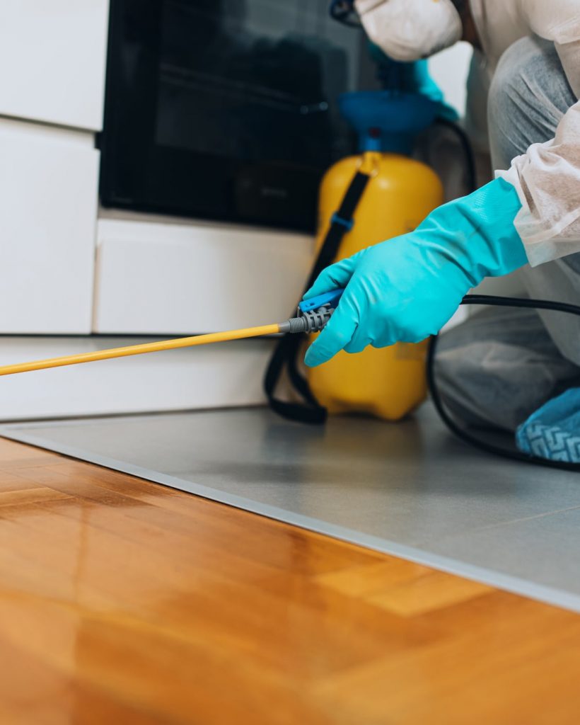 House pest control Professional exterminator in protective workwear spraying pesticide in apartment kitchen.