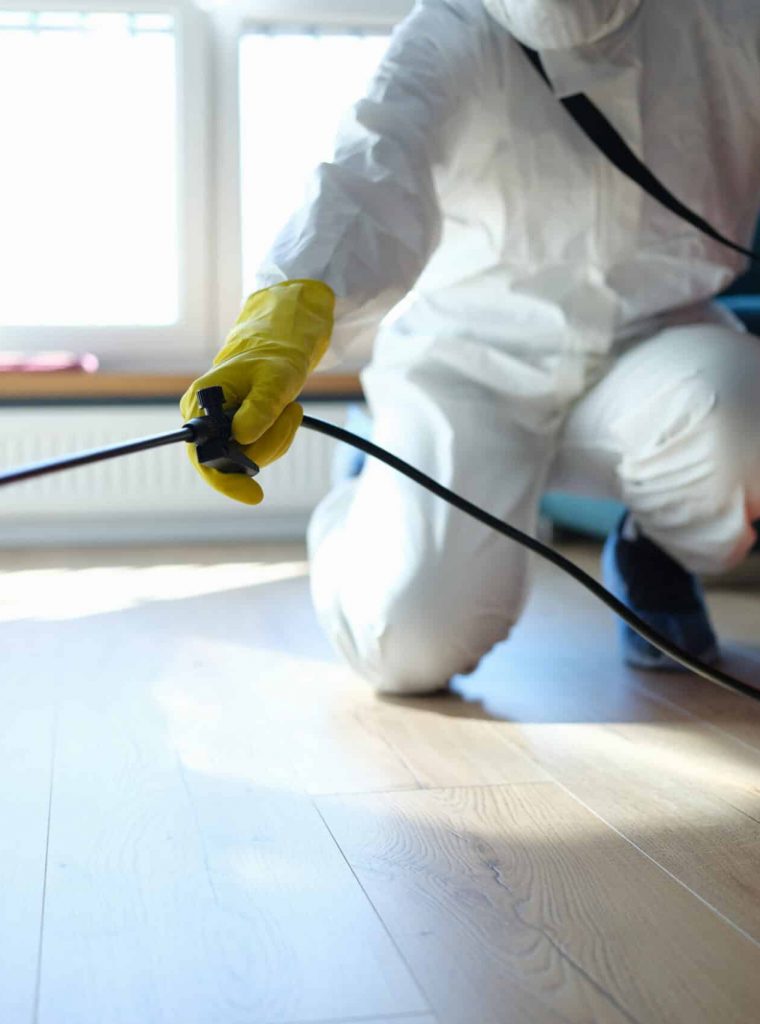 isinfection of premises from insects and rodents with chemicals isinfection of premises from insects and rodents with chemicals. Plumber spray on the background of apartment and pest control